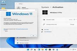 Windows 11 Pro 10.0.22000.120 LITE (x64) for VMware Workstation